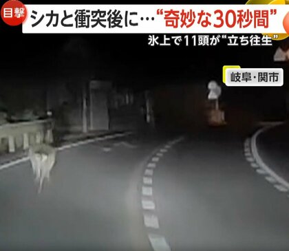 突然飛び出したシカとの“奇妙な30秒”　ロシアではポツンと“大の字”…氷上で立てなくなったシカ“続出”で救助活動
