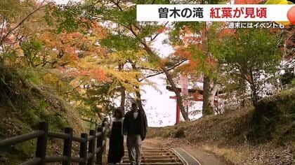 紅葉の名所　伊佐市の曽木の滝で紅葉が見頃　週末にはイベントも　鹿児島