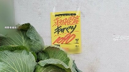 「とんかつと値段変わらない」値上がり続くキャベツは1玉1000円の大台突破も…4月までに6000品目が値上げの見通し