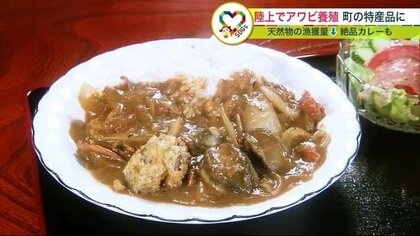 “陸上”で高級食材「アワビ」養殖 町の新たな特産品に…丸ごと入った絶品カレーも人気に【北海道発】