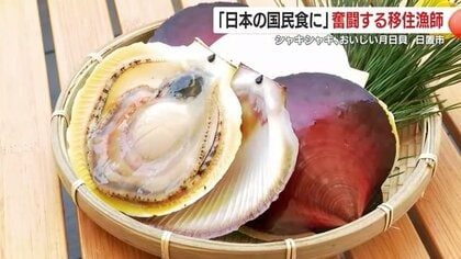 「月日貝を“日本の国民食”へ！」経営コンサルタントから漁師に転身　鹿児島の隠れた特産品をブランドに　その思いに迫る