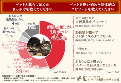 愛するペットと 後悔 のない最期 を過ごしたい 8割近くのインターネットユーザーは情報の判断に困り 時として大切なペットに大きな負担をかけることも 信頼のおける情報やサービスの基準とは