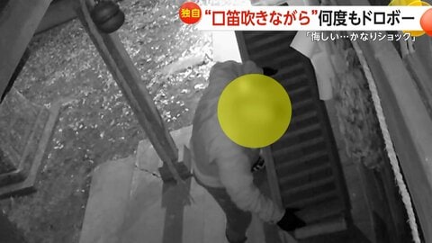 口笛吹きながら悠々とさい銭泥棒　ヘッドライトに手袋…ドライバーで破壊する用意周到な手口　今年4回被害　栃木・那珂川町