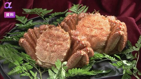 年収1億円以上の高所得者「ふるさと納税」控除額上限設定へ　“金持ち優遇”指摘に政府・与党見直し検討　2027年寄付から適用へ