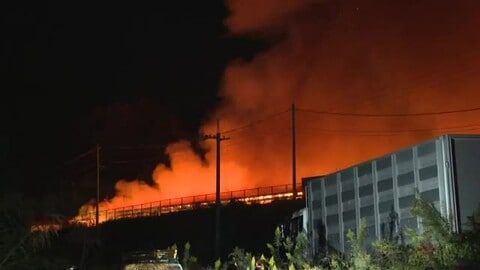 猛烈な炎と煙で消火難航…南部町の養豚場で火事　従業員2人の安否不明（鳥取）　