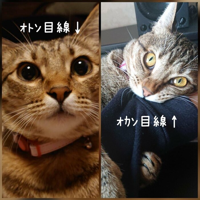 左:お父さん撮影 右:お母さん撮影