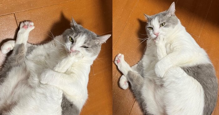 自分で足をおさえている姿がかわいい(提供:いずもん/まろ様さん)