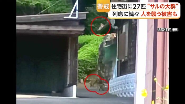 鳥取・米子市　午前10時ごろ近隣住民撮影