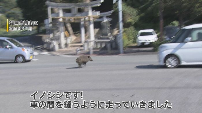 福岡市博多区の映像(2019年11月撮影)