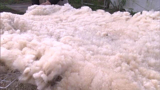 処分費用の負担増 何かに活用できないか