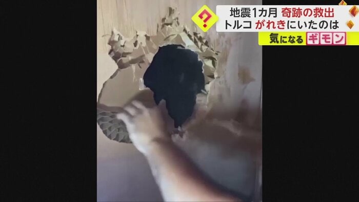 壁に穴を開けるアニマルレスキュー隊員