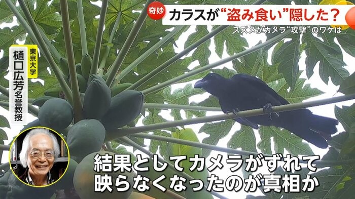 (視聴者撮影)