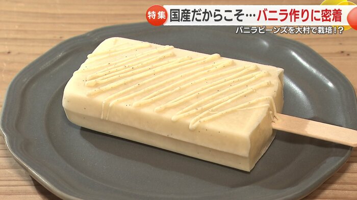 バニラビーンズを使ったアイスソルベ