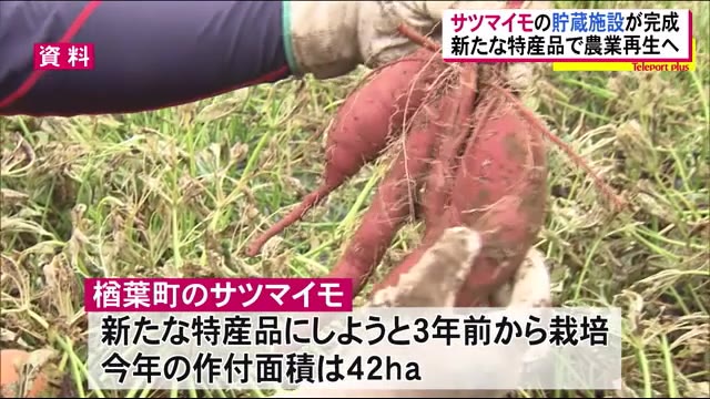 楢葉町の農業再生を担うのは…サツマイモ 町が目指す大規模化に必要な貯蔵施設が完成<福島県>