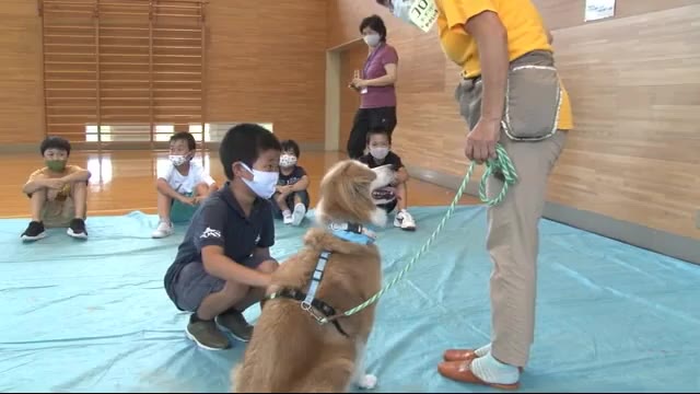 動物への寄り添い方を学ぶ 小学校で出前授業<岩手・一関市>