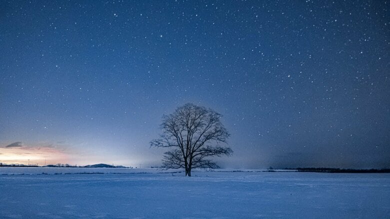 美しい…白に覆われ色彩を失った雪国を旅する【一人旅研究会の“日本”ノスタルジック写真館】｜FNNプライムオンライン