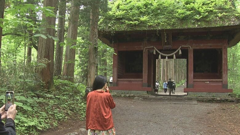 戸隠神社参道で観光客ら11人がハチに刺される　病院に搬送の小学生含む4人は全員軽症　杉の木にあったキイロスズメバチの巣は駆除｜FNNプライムオンライン