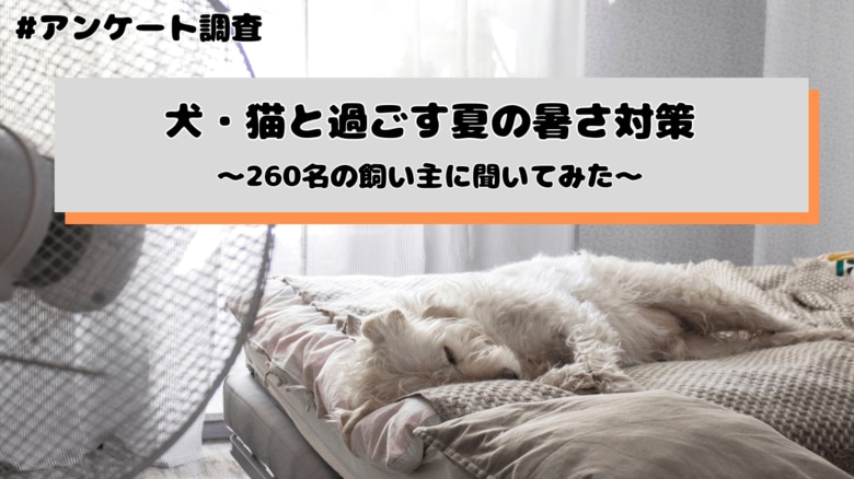 犬・猫と過ごす夏、エアコンは常につけておく?260名の飼い主にアンケート調査を実施