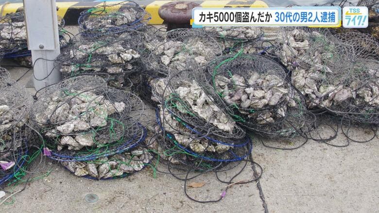 カキ筏から殻付きカキ５０００個超を盗んだ疑い　３０代の男２人を逮捕　金銭目的の犯行か　広島海上保安部｜FNNプライムオンライン