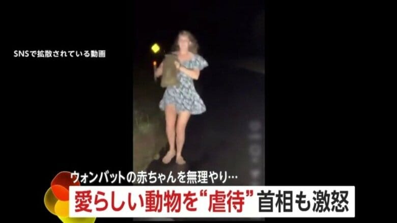 【批判殺到】赤ちゃんウォンバットを母親から引き離し動画投稿　アメリカ人女性インフルエンサーにオーストラリア首相「言語道断」｜FNNプライムオンライン