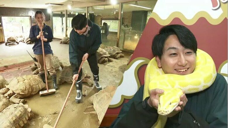 巳年なだけに”一皮むける”体験を…新人アナが体当たり取材　これまで爬虫類とは無縁も体感型動物園で飼育体験　ゾウガメの重さに驚き、イグアナの”襲来”にたじろぎ、最後はワニにシカ肉を｜FNNプライムオンライン