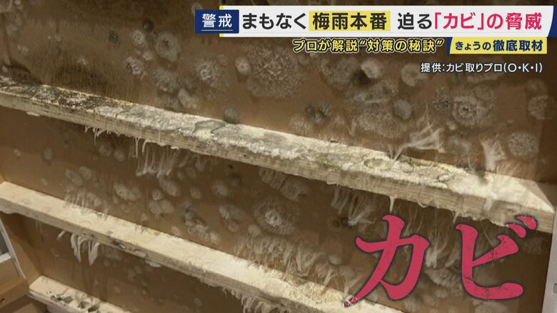 梅雨に潜む「カビ」の脅威　41％のスマホからカビ検出の調査も　命に関わる病気を招くことも　プロが教える対策の秘訣「こすらない」「熱いお湯」「“乾燥”ではなく“換気”」｜FNNプライムオンライン