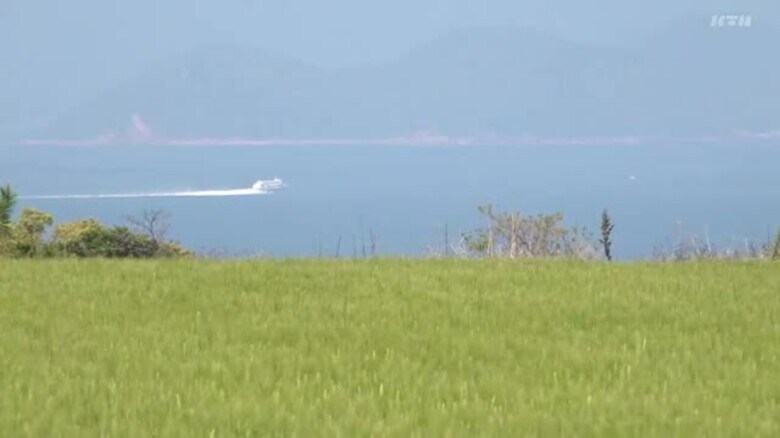 「青」と「緑」が美しいコントラスト…五島で大麦畑の春景色広がる【長崎】｜FNNプライムオンライン
