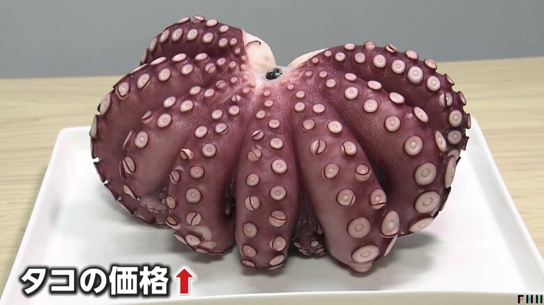 「10年で2倍以上」庶民の味・たこ焼きどうなる！？タコが価格高騰…100gあたり507円で初めてマグロ超え　海外需要で品薄状態に｜FNNプライムオンライン