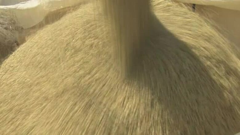 JA越前たけふコシヒカリの内金を3000円追加払い　60キロ当たり3万2000円に　JA福井県も1500円を追加払い｜FNNプライムオンライン