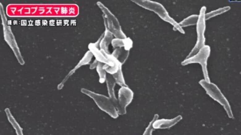 3つの感染症が同時流行「トリプルデミック」の恐れ　マイコプラズマ・インフル・コロナ　予防策はやはり「マスク・手洗い・うがい」｜FNNプライムオンライン