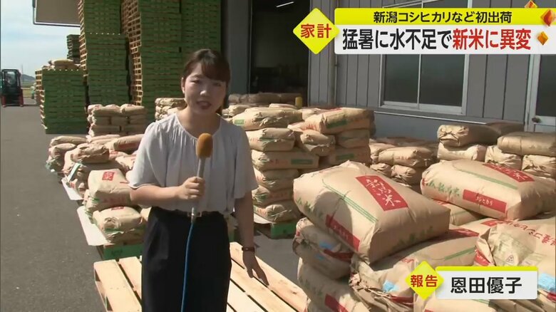 記者がリポートしている