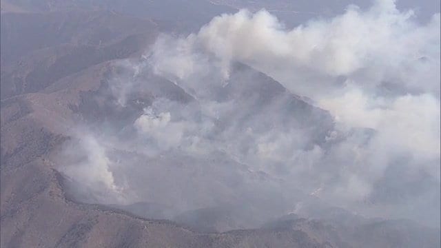 岩手県大船渡市　山林火災