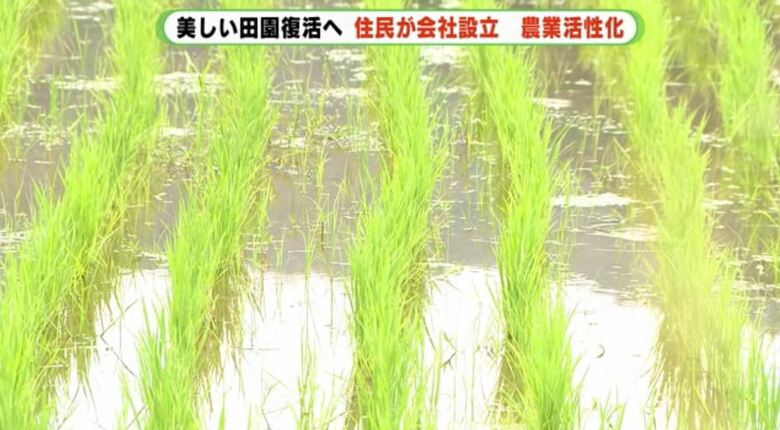 整備された水田