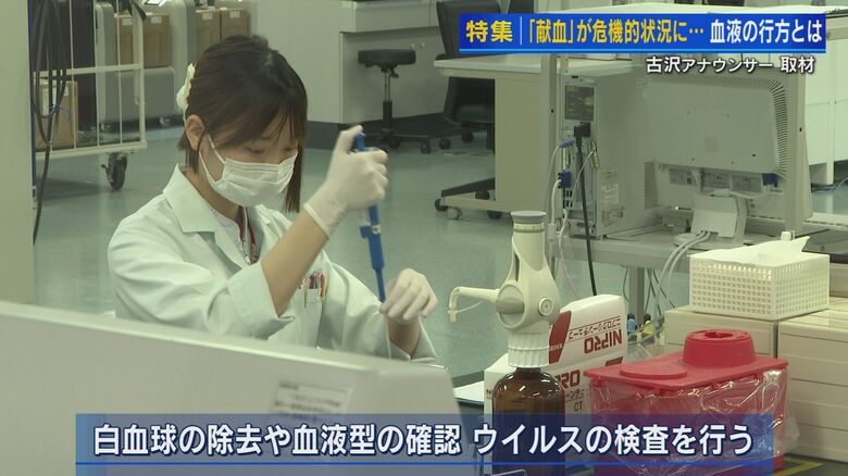 献血で集められた血液を検査するスタッフ