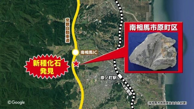 福島県南相馬市原町区で発見