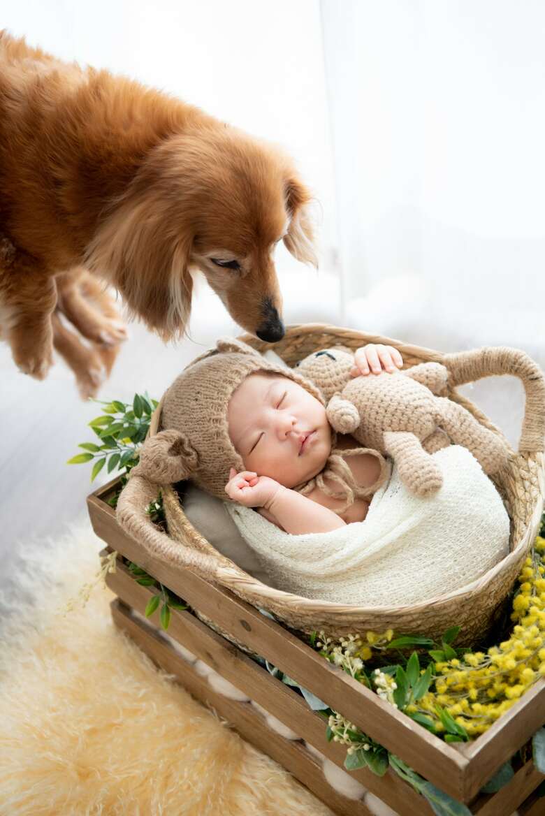 「ニューボーンフォト」（fotowa／青柳理沙）