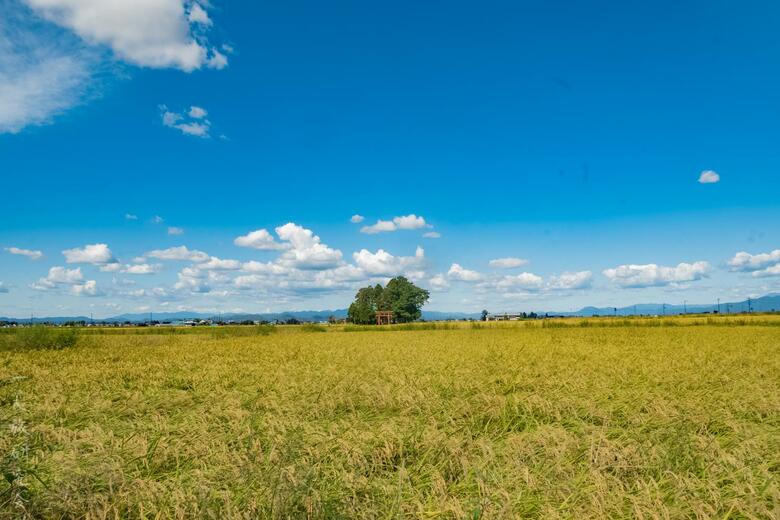 秋田県・田岡神社（2025年9月撮影）