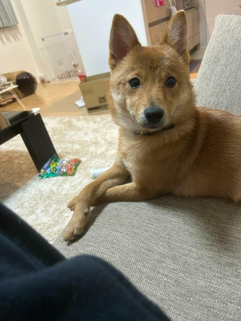 提供：あちさん