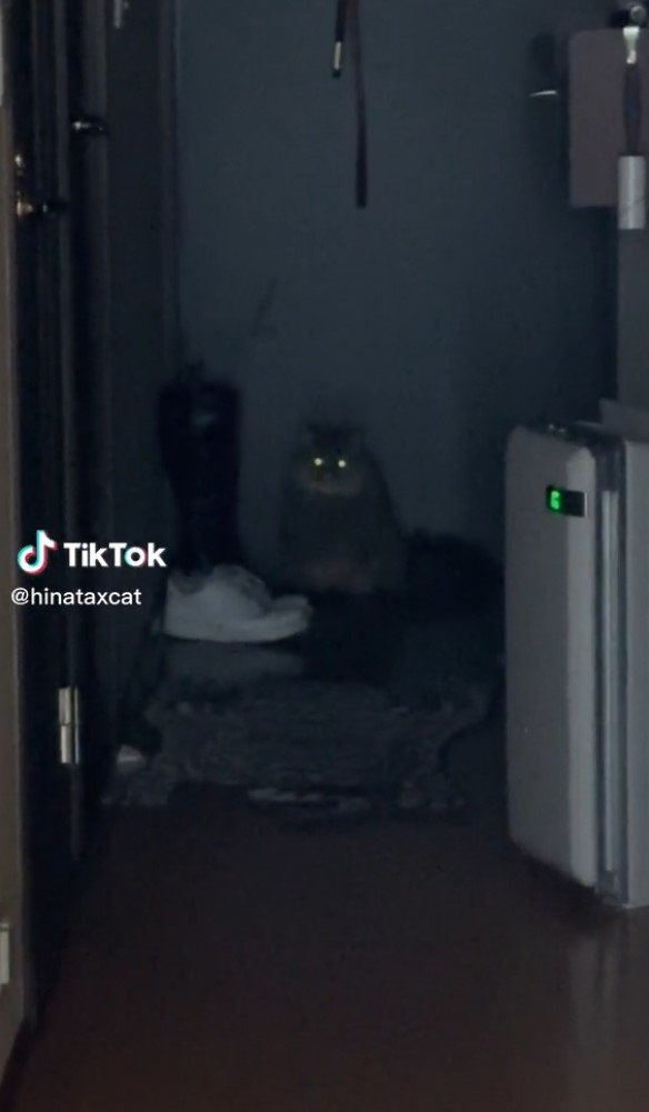 提供：ひなたさん