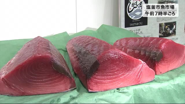 「三陸塩釜ひがしもの」シーズン到来 塩釜市魚市場で初競り〈宮城〉