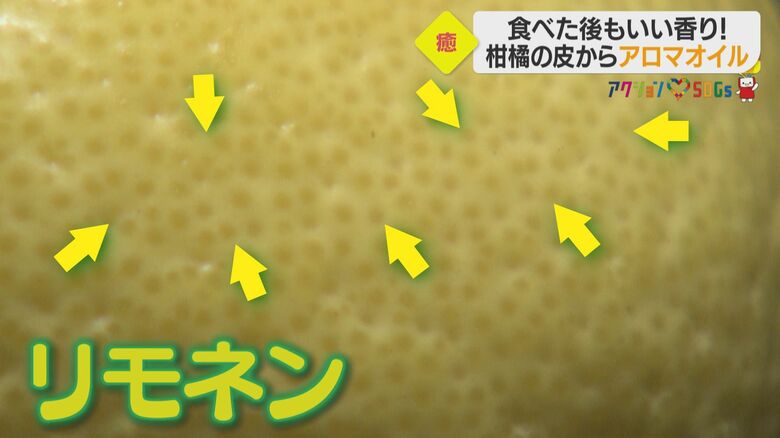 「リモネン」が含まれる油胞