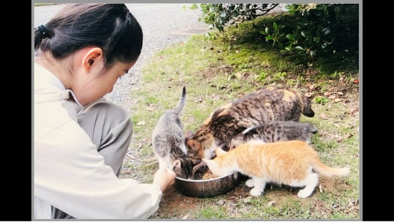 当時小学3年生の愛子さま　右手前の茶色い猫の上にいる尻尾が短い猫がみー　宮内庁提供