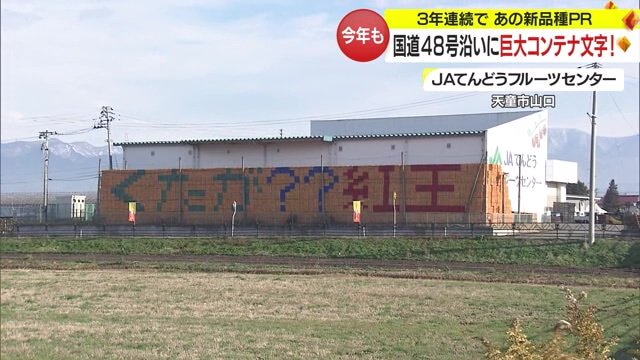 2023年の巨大文字は「くたが？？紅王」