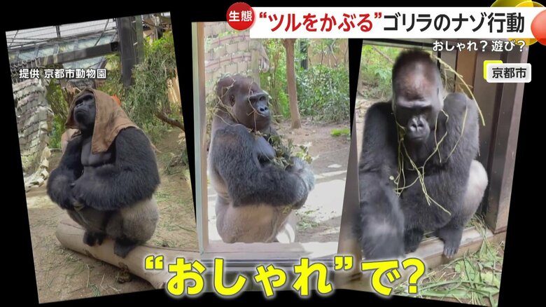 おしゃれのつもりではないという“ナゾのしぐさ”