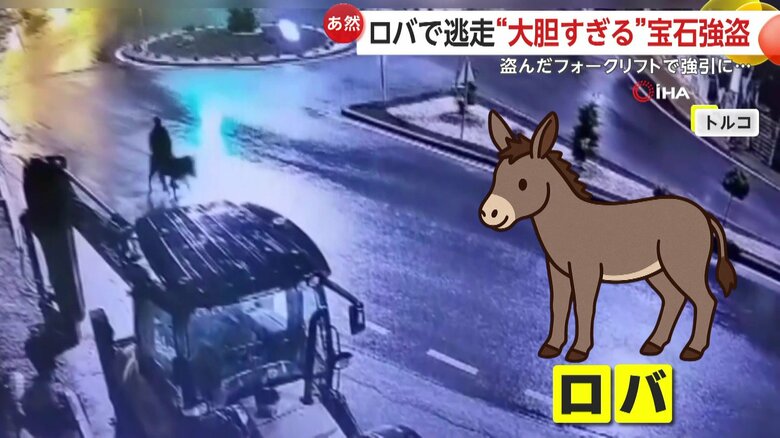 夜の街をロバとともにさっそうと駆け抜けていた犯人