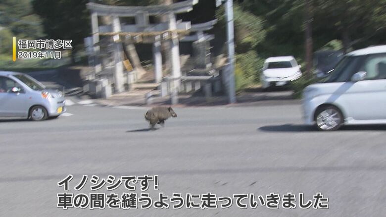 福岡市博多区の映像(2019年11月撮影)
