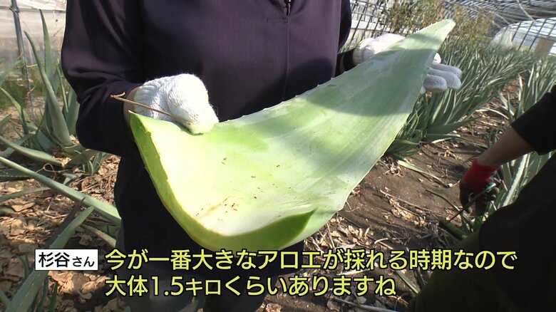 ずっしりと重い