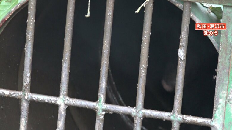 おりの中には黒くうごめく影が