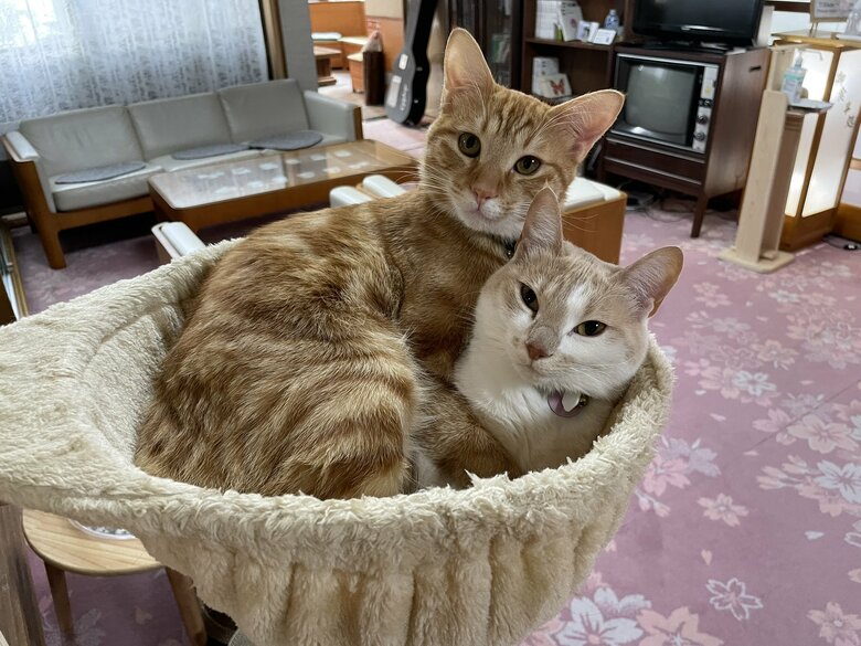 仲良しなのが伝わってくる