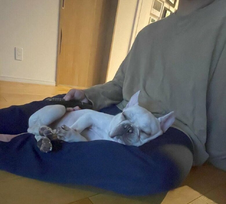 息子さんの膝の上でもぐっすり